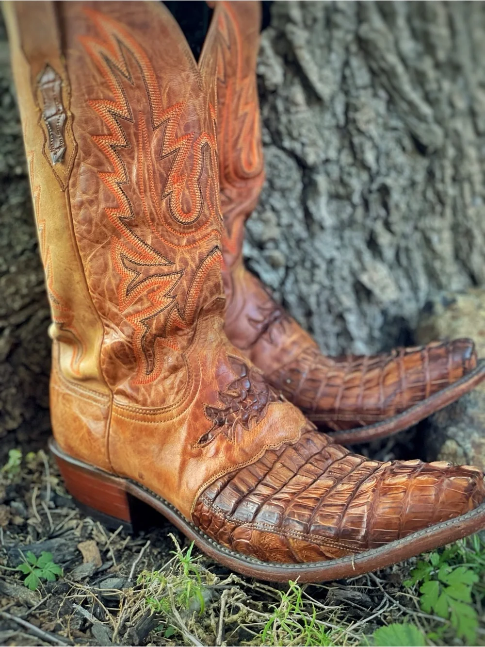 Lucchese Brown Crocodile-Textured Western Boots